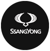 ssang yong icon